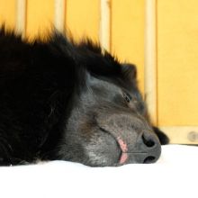 DSCF1038.JPG