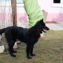 Finnegan 5 Monate 01.jpg