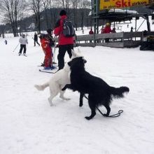 Rebecca Februar 2010 056.jpg