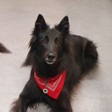 Lucy auf Station.jpg