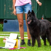 Chilli BOS Schweitenkirchen.jpeg