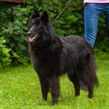 Chilli Standbild Schweitenkirchen 2.jpeg