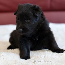 Mme. Jaune drei Wochen alt: 1761g